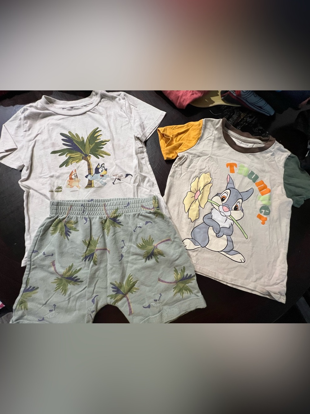 Bluey & bingo short set & Boxlunch Disney Thumper tee boys bundle 4T